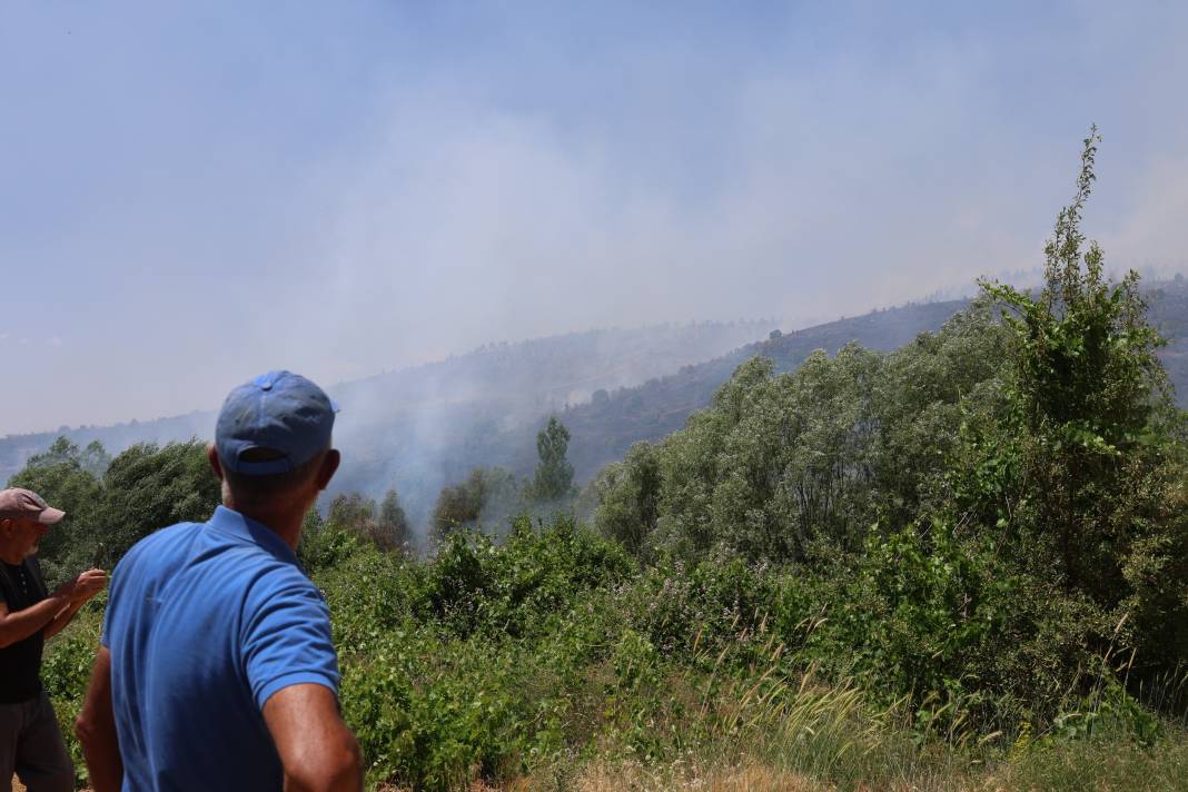 Elazığ'da orman yangını 37